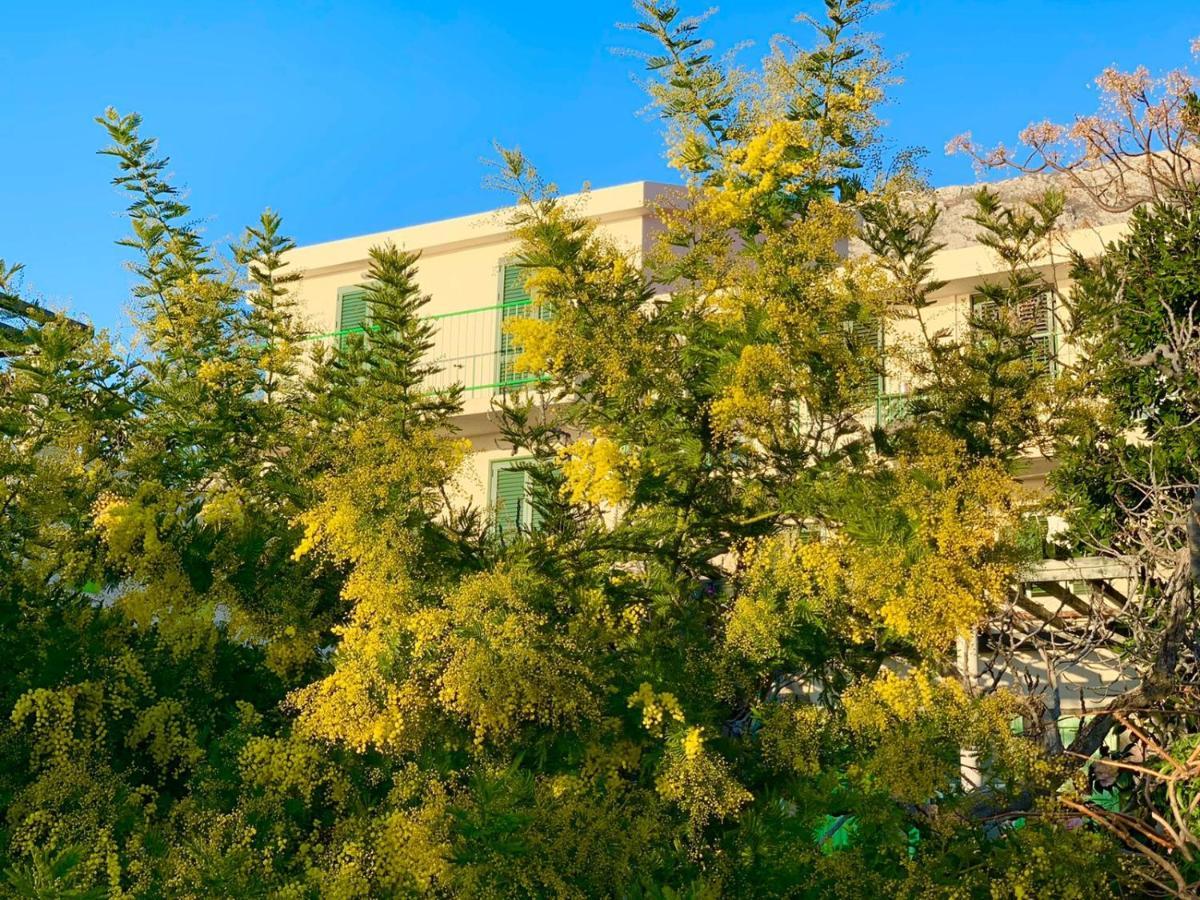 Boutique Home Saltaragazza Petrovac na moru Exterior foto