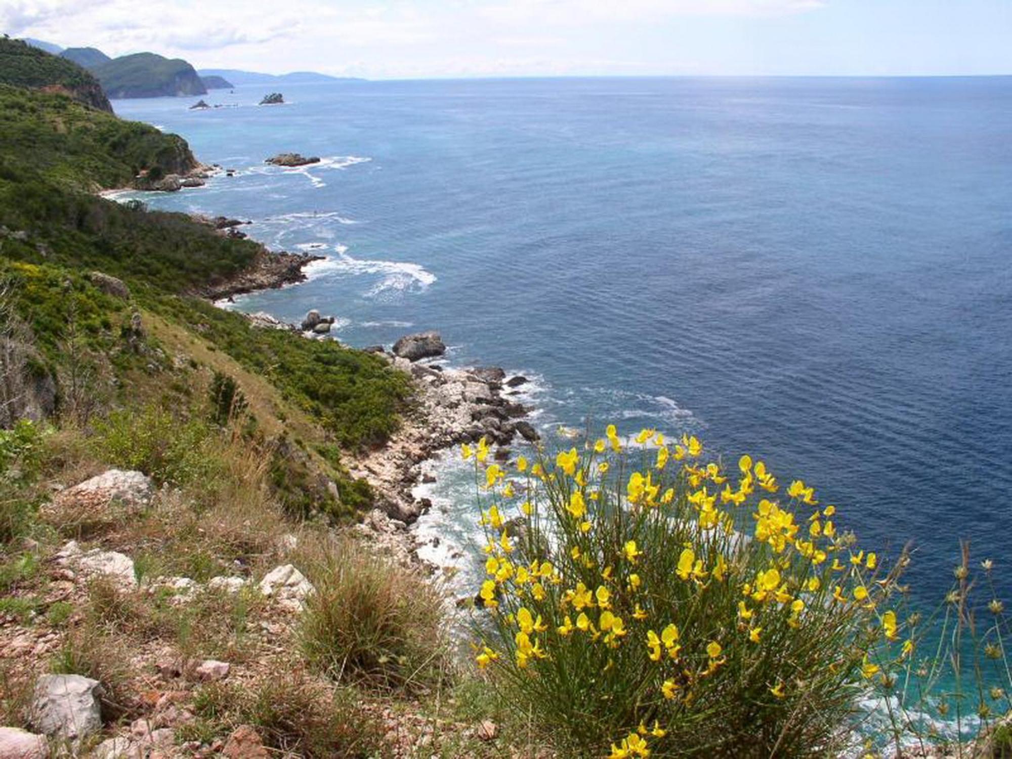 Boutique Home Saltaragazza Petrovac na moru Exterior foto